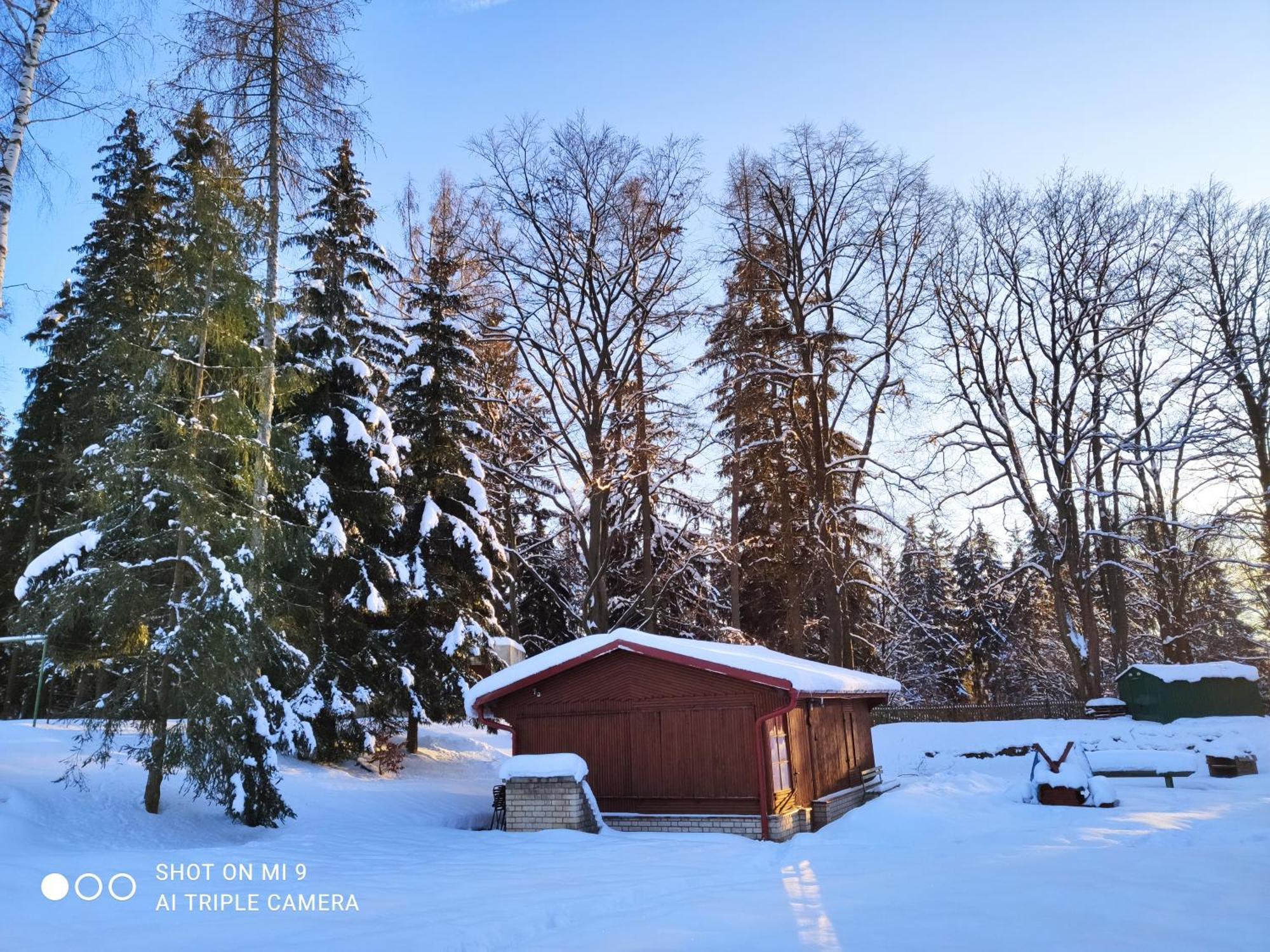 Lesni Chaty "Hogo Fogo" Kytlice Esterno foto