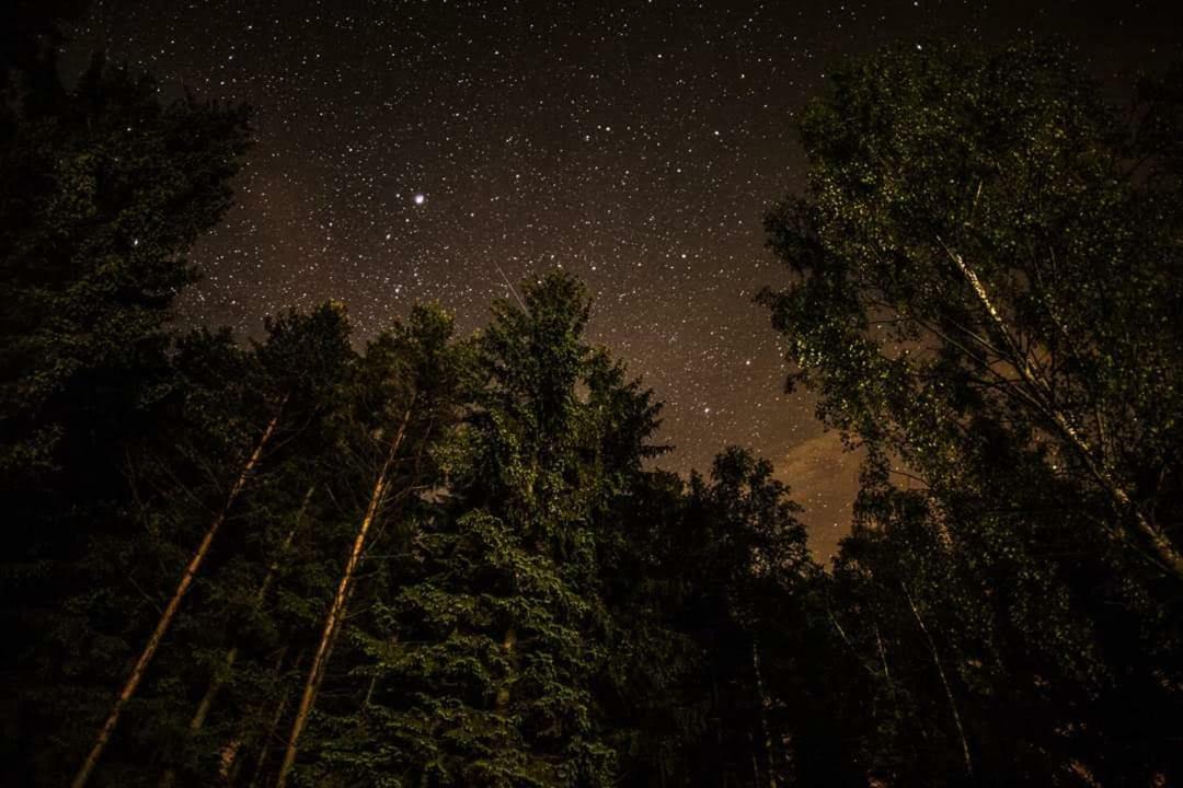 Lesni Chaty "Hogo Fogo" Kytlice Esterno foto