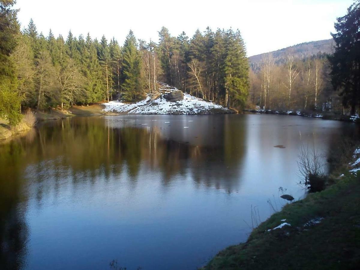 Lesni Chaty "Hogo Fogo" Kytlice Esterno foto